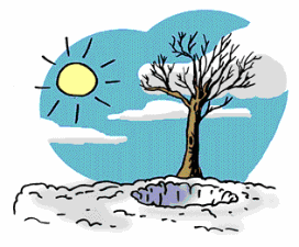 Gif animé taupe arbre